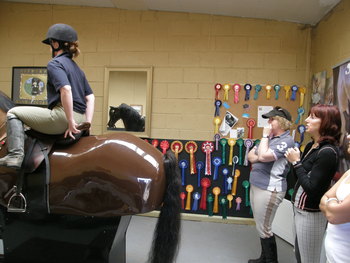 Mechanical horses training great succes!